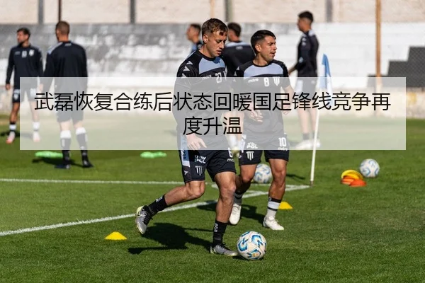 武磊恢复合练后状态回暖国足锋线竞争再度升温