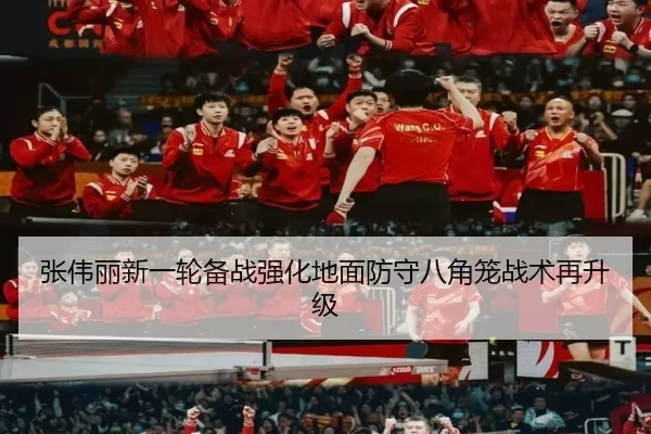 张伟丽新一轮备战强化地面防守八角笼战术再升级